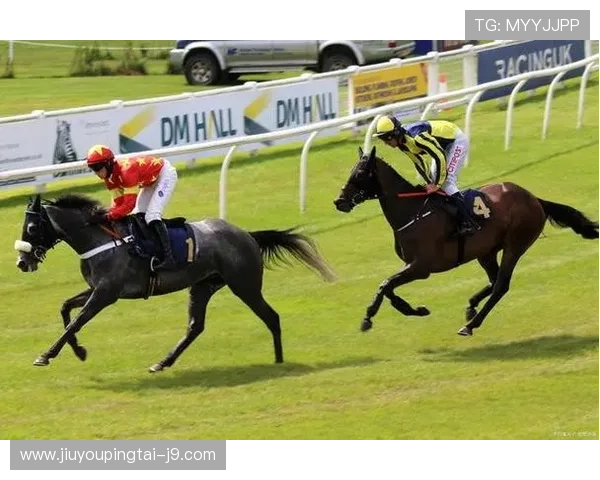 PA体育网论坛:体育知识普及与技巧分享,提升你的运动技能与比赛水平 PA体育网论坛:体育知识普及与技巧分享,提升你的运动技能与比赛水平